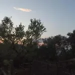 Milena 亚力诺伊皮诺