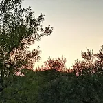 Milena Bed & Breakfast 4*