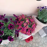Milena