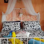 Milena 4*