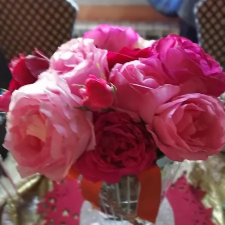 Bed & Breakfast Milena Ariano Irpino