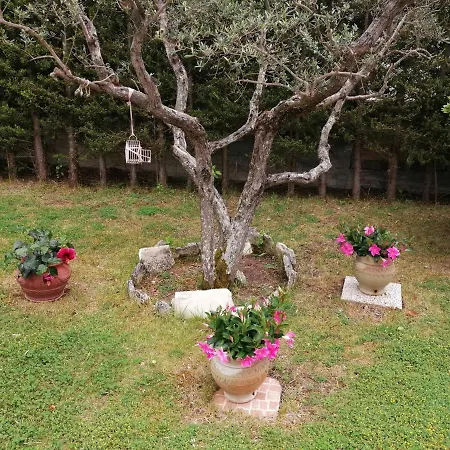 Bed and Breakfast Milena Ariano Irpino