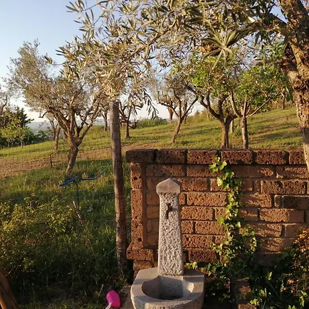Milena Bed & Breakfast