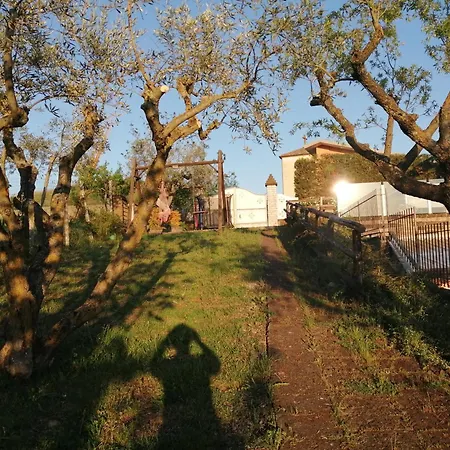 Bed & Breakfast Milena 2*