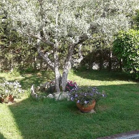 Bed and breakfast Milena